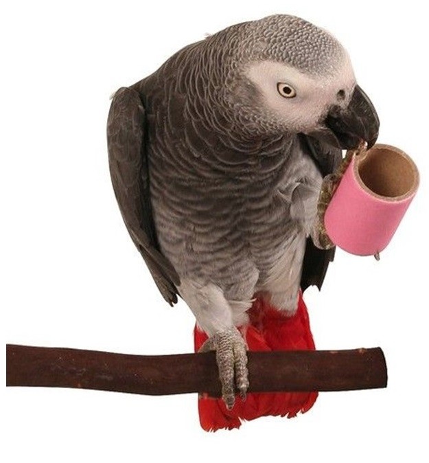 Tubo de grueso cartón