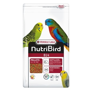 Pienso para loros pequeños NutriBird B14