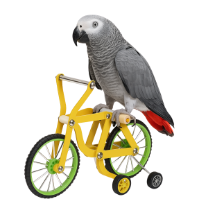 Bicicleta para loritos medianos